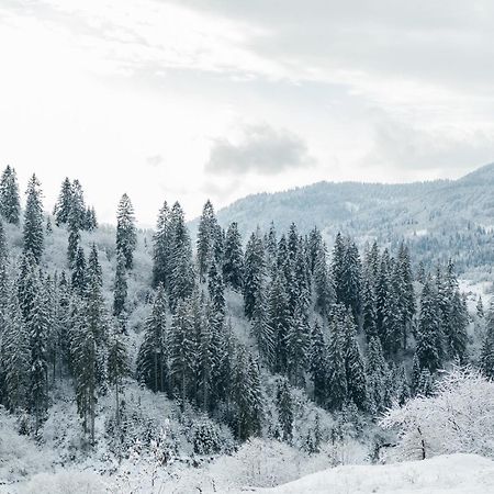 Казковий Дім Та Garden Два Будиночки В Горах З Чаном-Джакузі Slavske Dış mekan fotoğraf