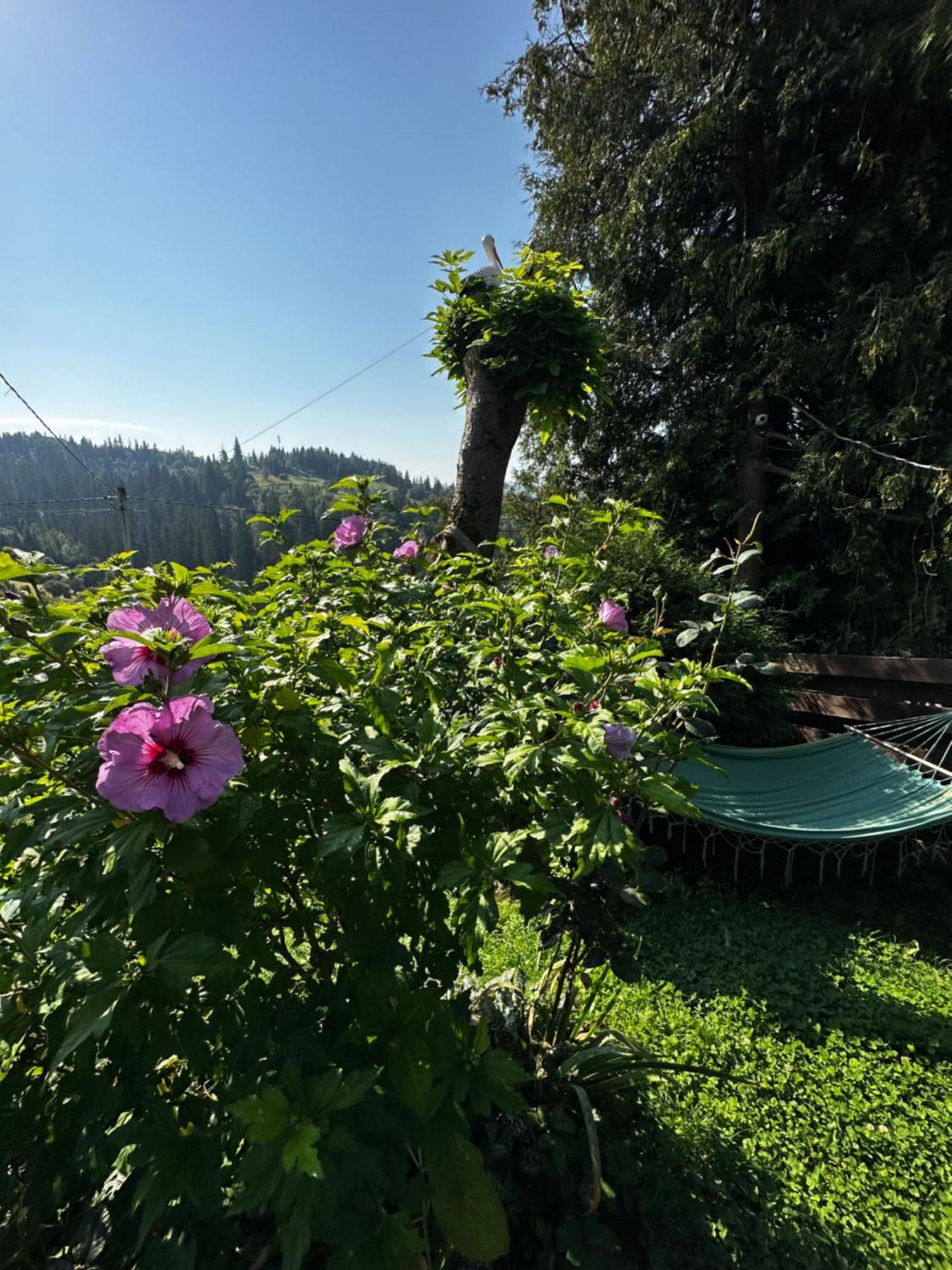 Казковий Дім Та Garden Два Будиночки В Горах З Чаном-Джакузі Slavske Dış mekan fotoğraf