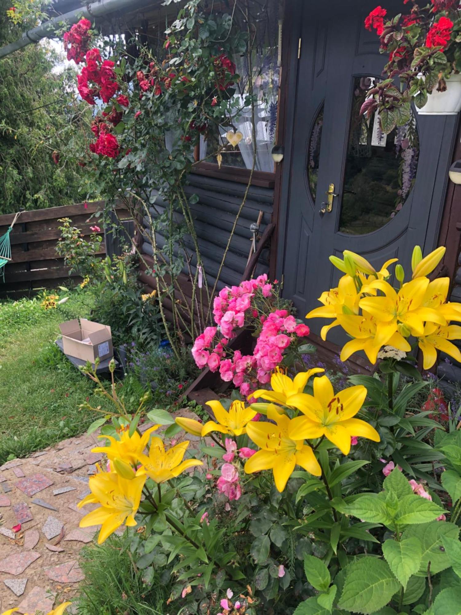 Казковий Дім Та Garden Два Будиночки В Горах З Чаном-Джакузі Slavske Dış mekan fotoğraf