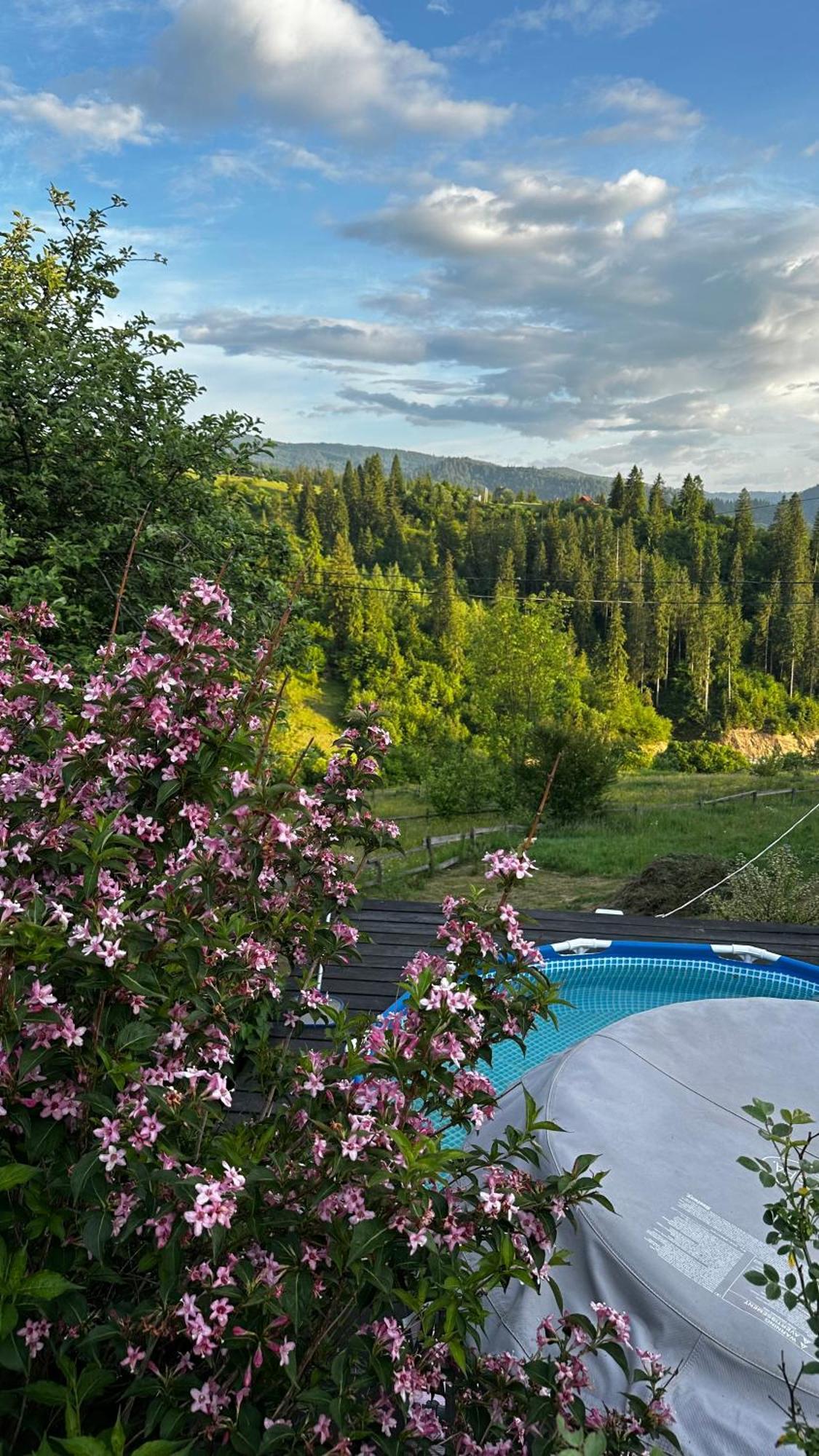 Казковий Дім Та Garden Два Будиночки В Горах З Чаном-Джакузі Slavske Dış mekan fotoğraf